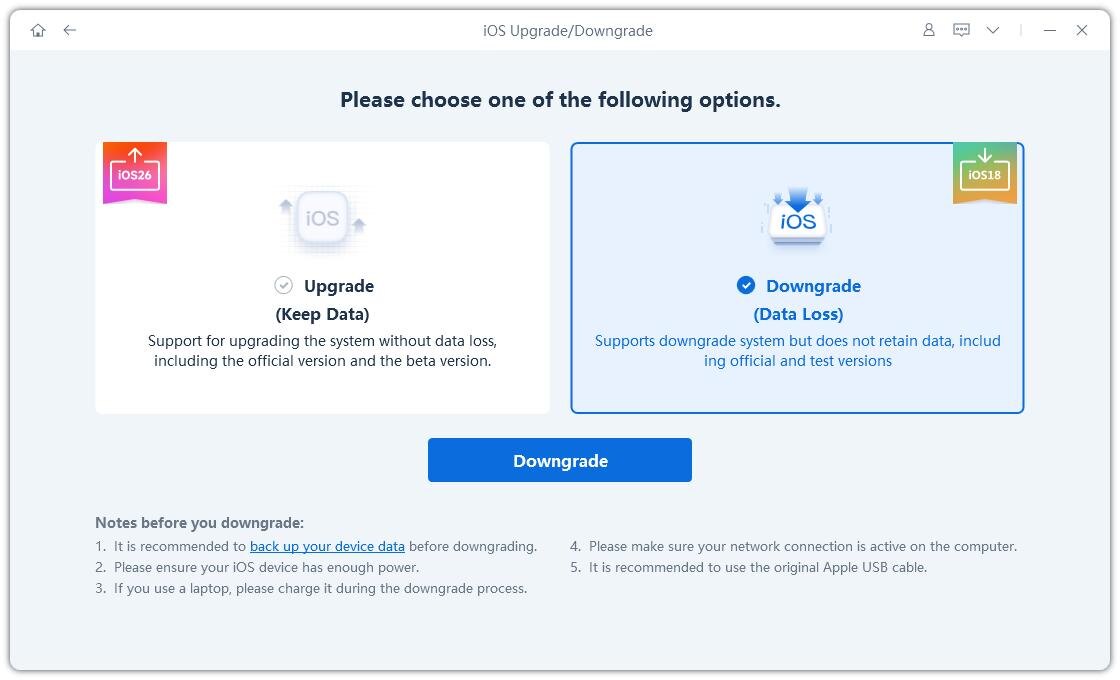 Выберите опцию «Понижение» для начала процесса.