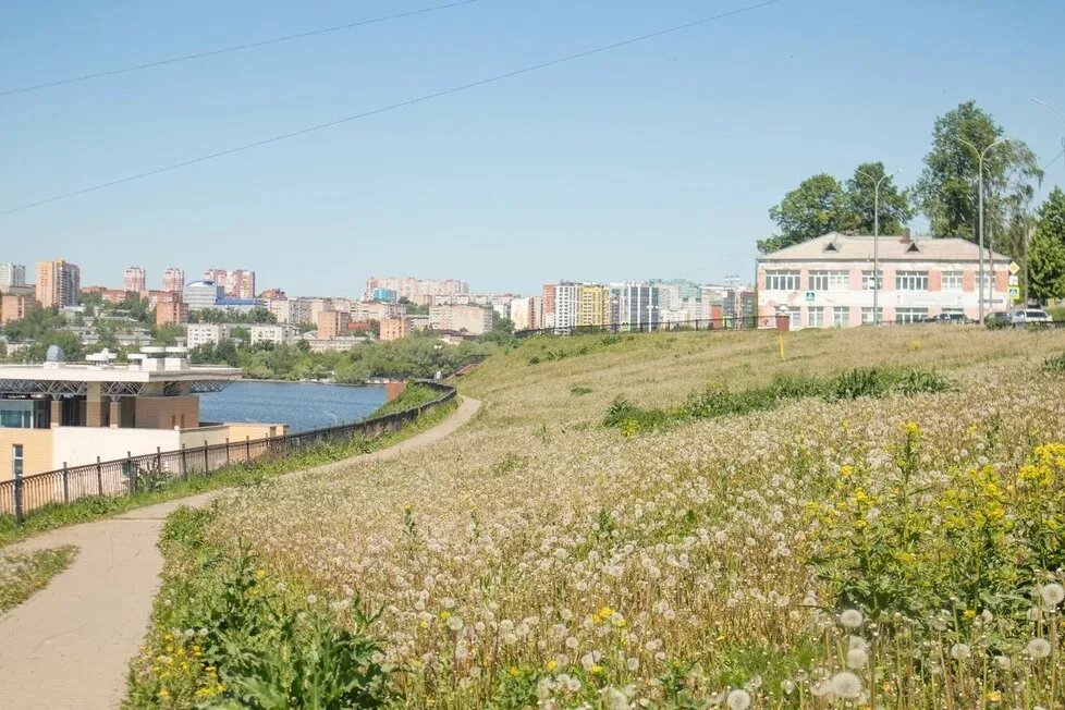    Нашествие «уродцев», штрафы за алкоголь на детских площадках и поезд до Северной Кореи: что обсуждают ижевчане в соцсетях 18 июня