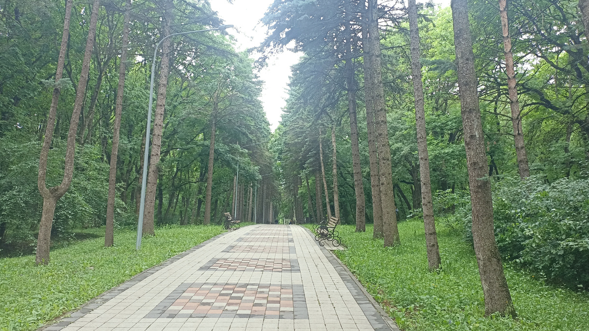 Одна из любимых дорожек. По ней обычно мало людей ходит. Парк Победы 2025 г. Ессентуки