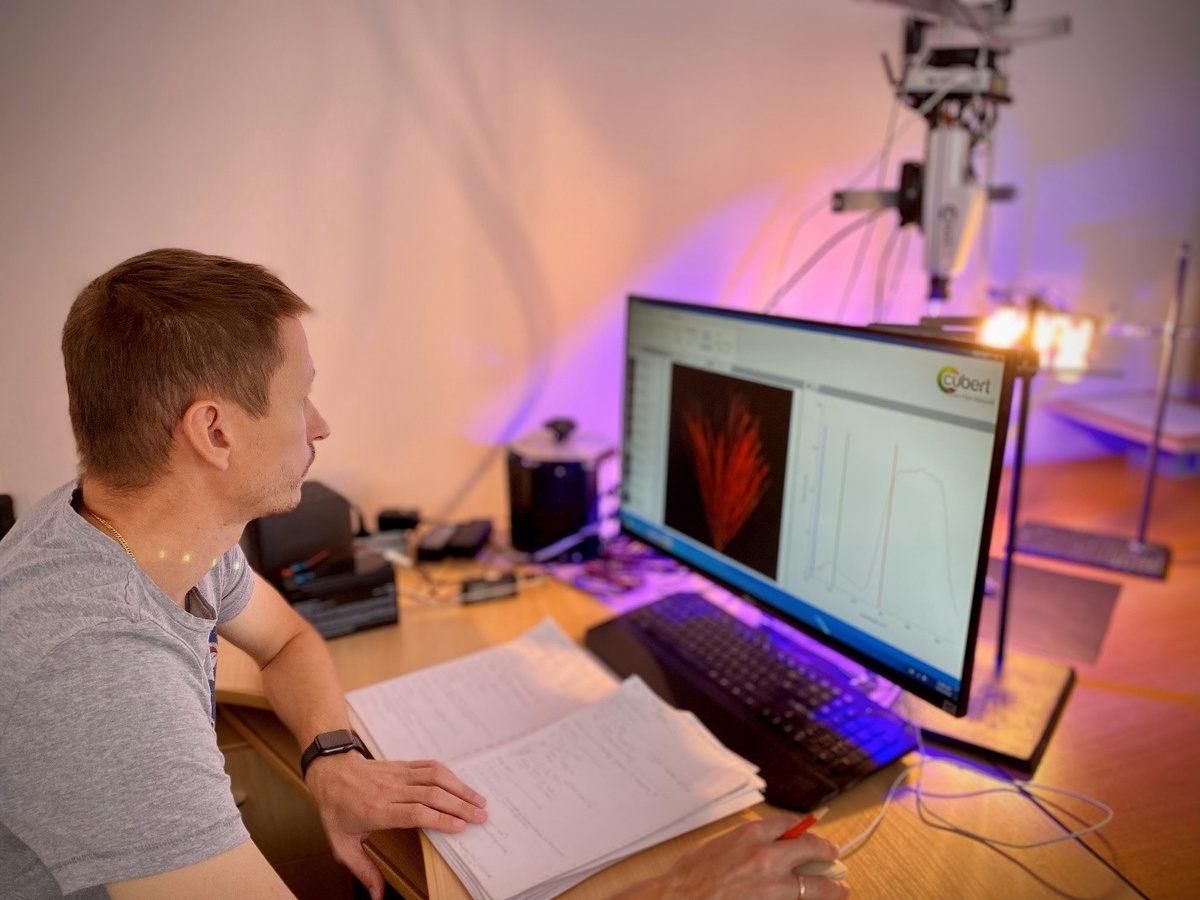 Лабораторная гиперспектральная съемка. Источник: Борис Козловский