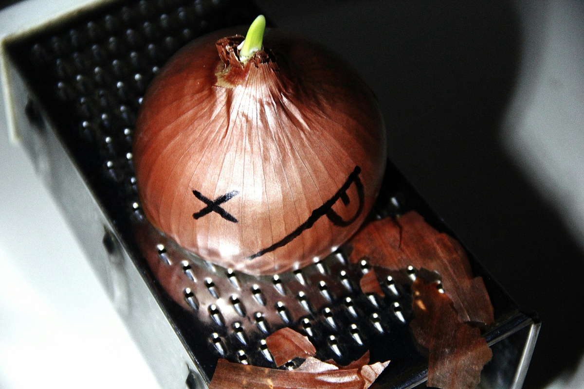 Фото: mohamad mostafa salehi on Unsplash