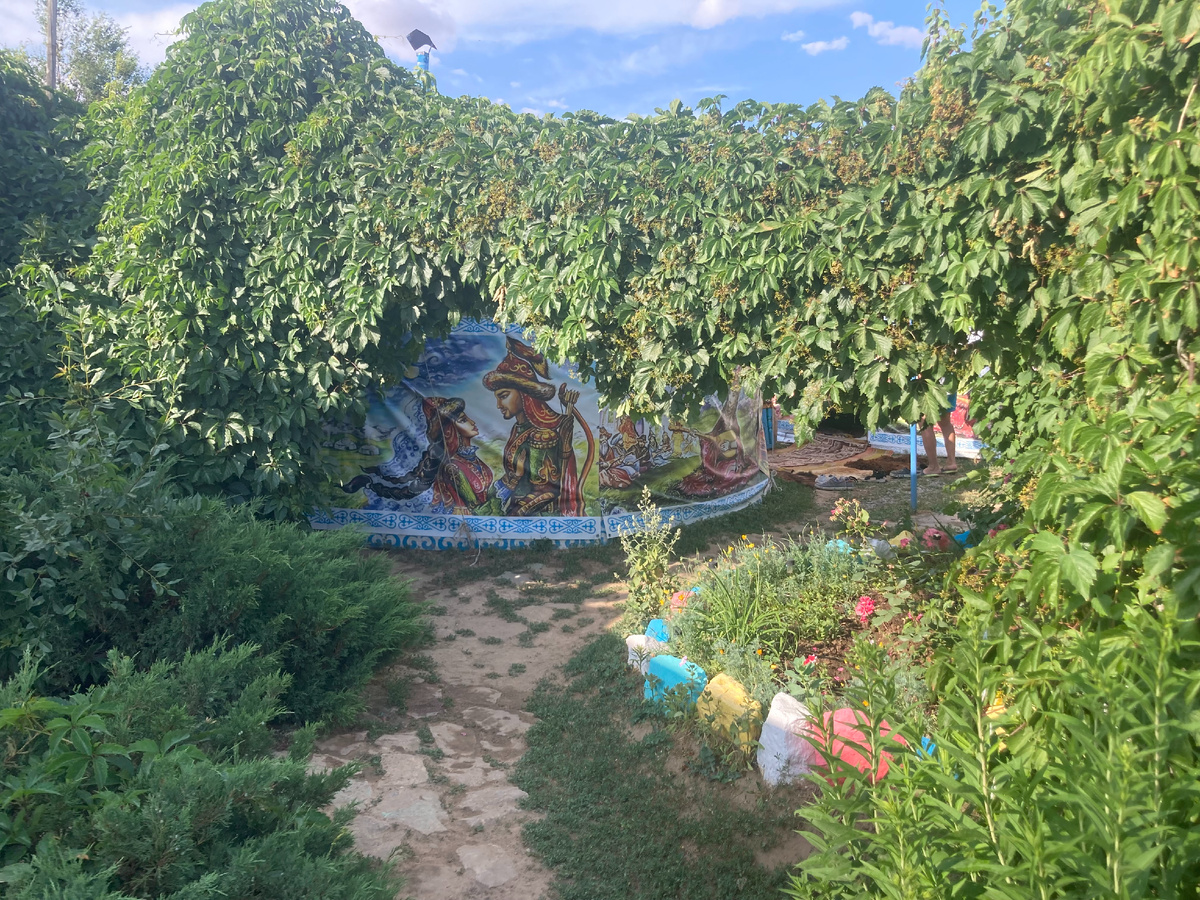 Виноградом заплетен дворик. Две юрты сейчас у Смагула во дворе. 