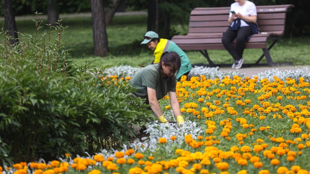    Фото: Andrey Titov/Globallookpress