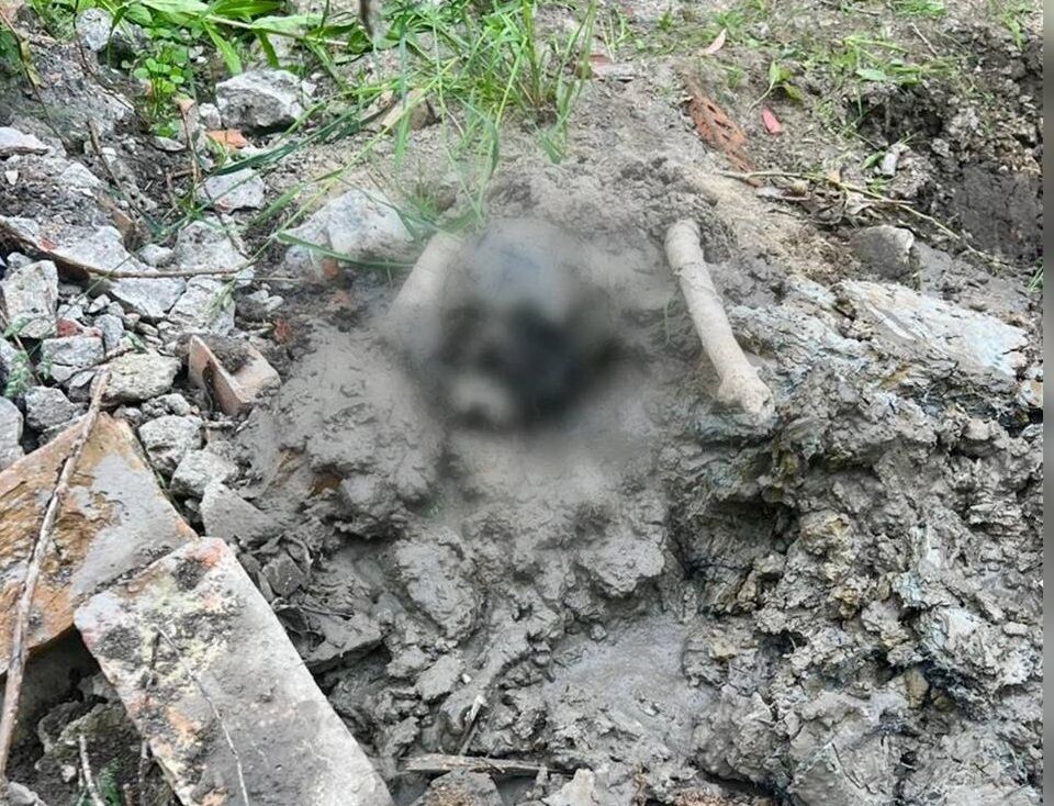     / Источник: © Официальный канал Главного следственного управления Следственного комитета России по городу Санкт-Петербургу