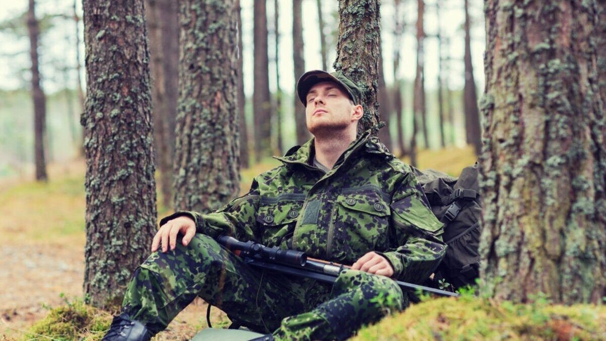 Фото из Яндекса