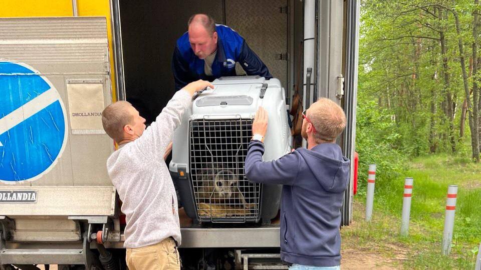    Фото: t.me/VDKSPB