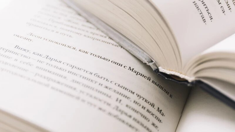     Раскрытые книги. Фото: ru.freepik.com, автор freepik.