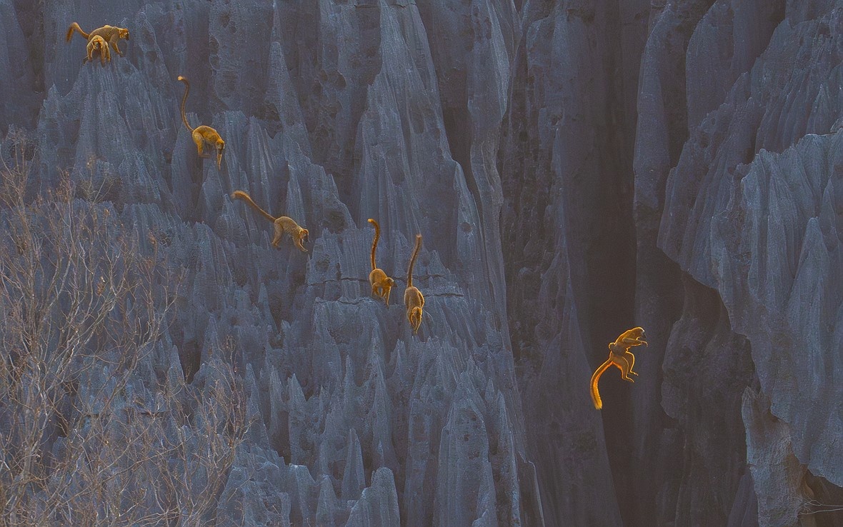    Donglin Zhou, bigpicturecompetition.org