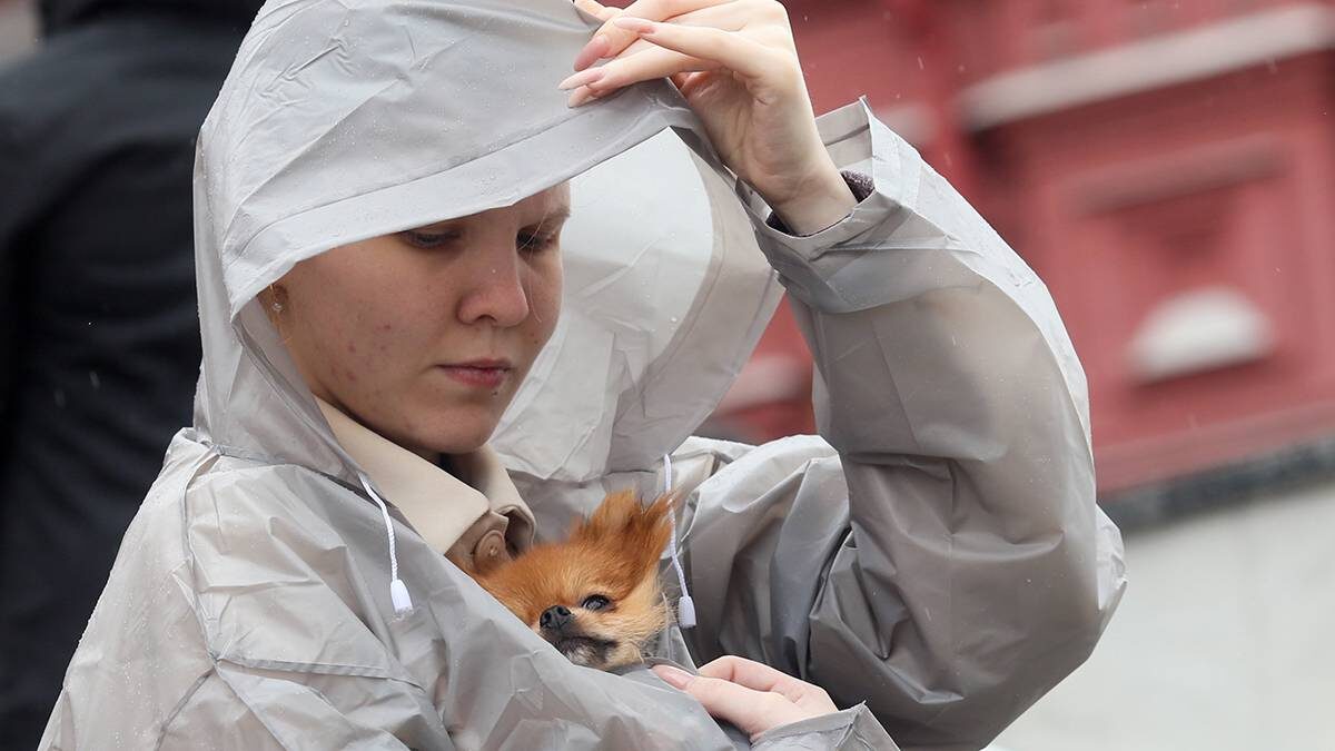    Фото: Василий Кузьмиченок / АГН Москва