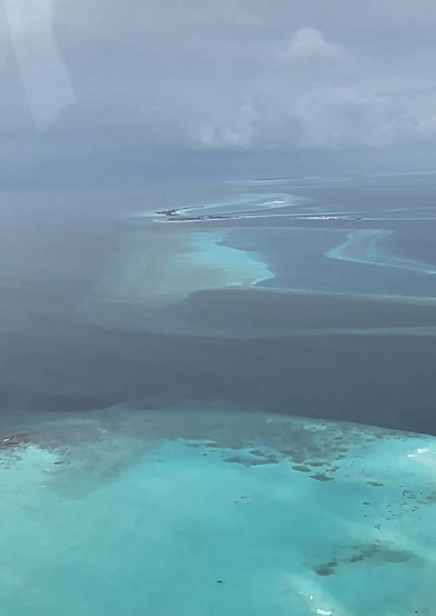 «Планета Лета»