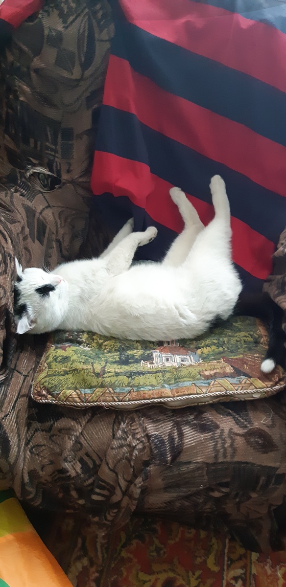 Кушайте спокойно, я не трогаю.