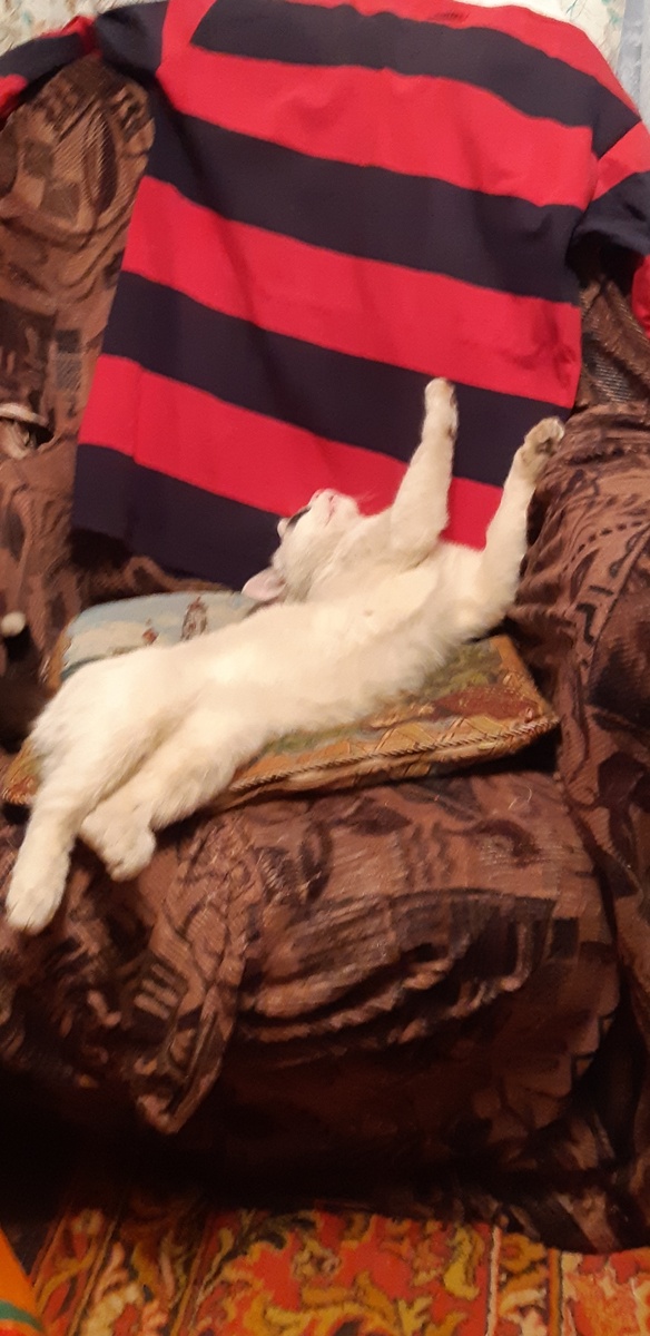 И вообще, это моя территория, нечего тут свои порядки наводить! 