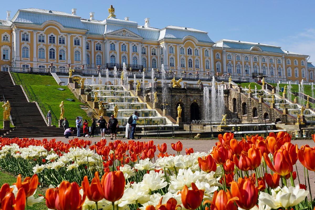 Фото автора.