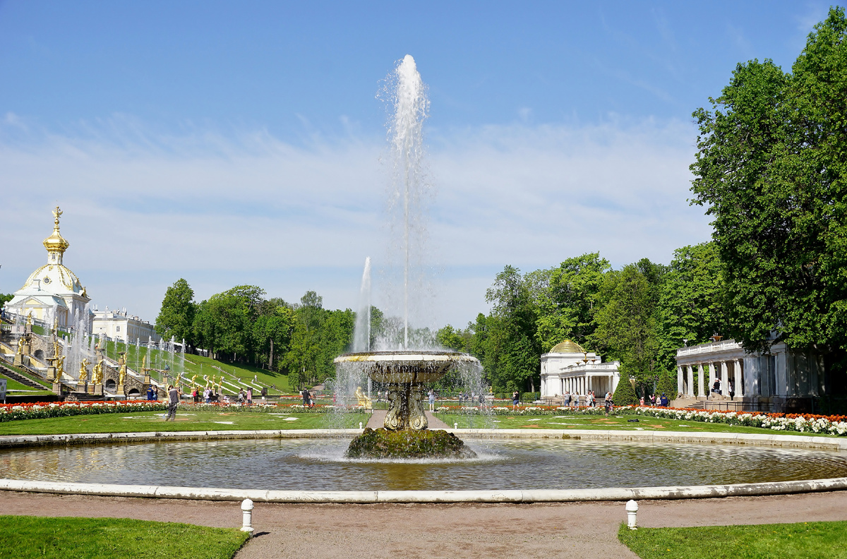 Фото автора.