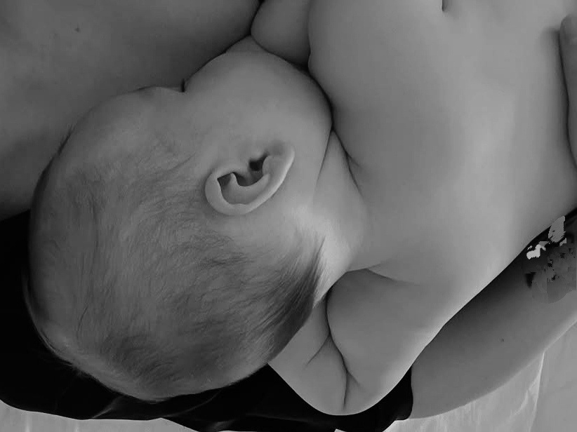 Фотография из свободного доступа 