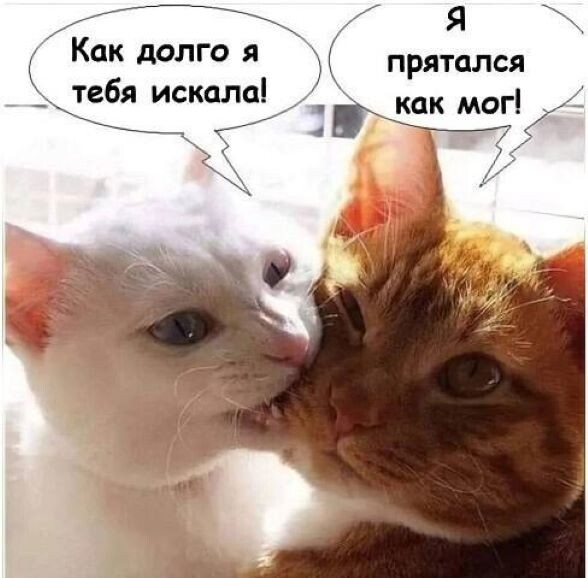 -9