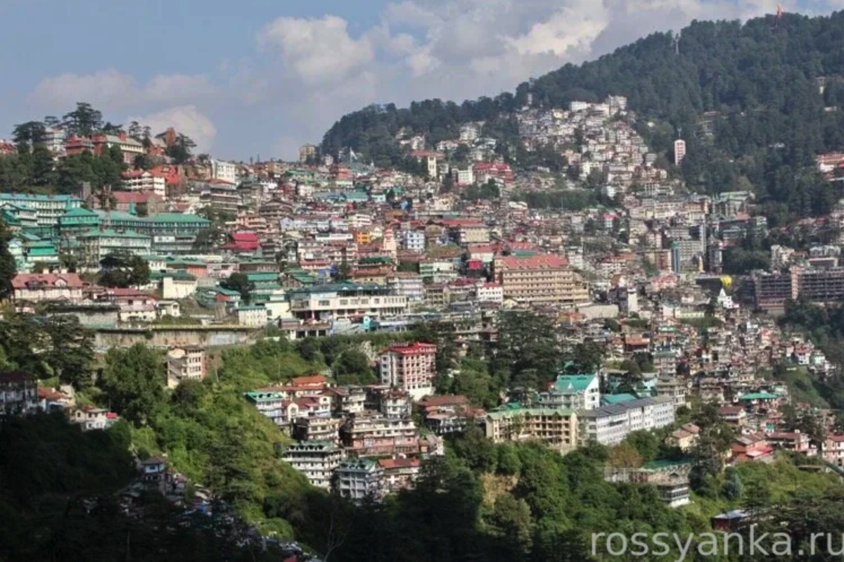 Холм Джаху утопает в зелени