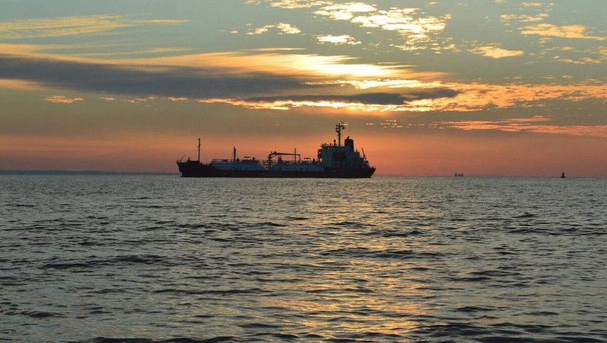     Источник: dvtransproc