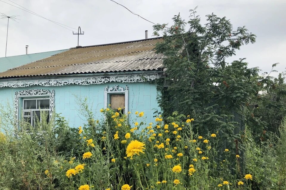 Дом Лавкина. Фото: Анна Перевощикова