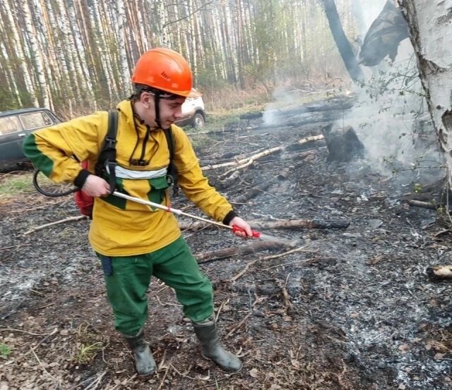    Фото: КГАУ "Лесопожарный центр"