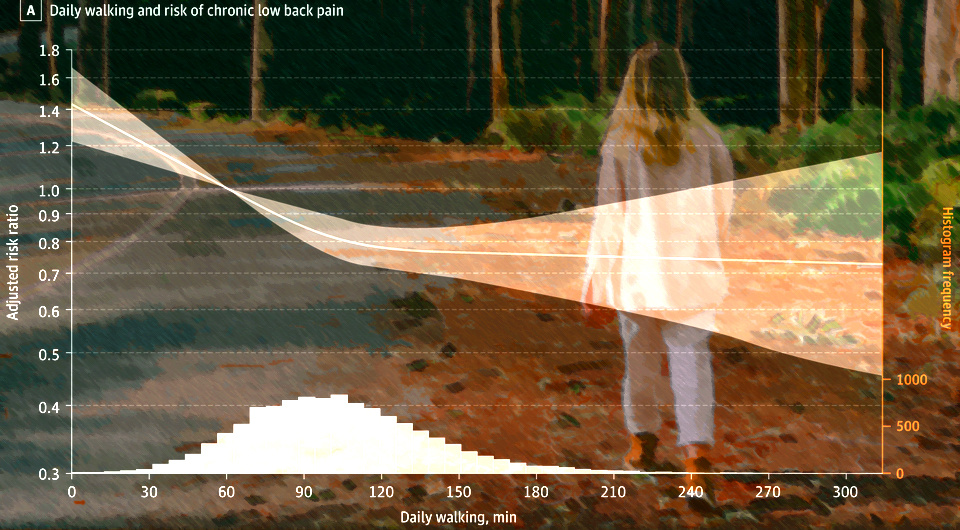   N + 1; Rachel Claire / Pexels; Rayane Haddadj et al. / JAMA Network Open, 2025