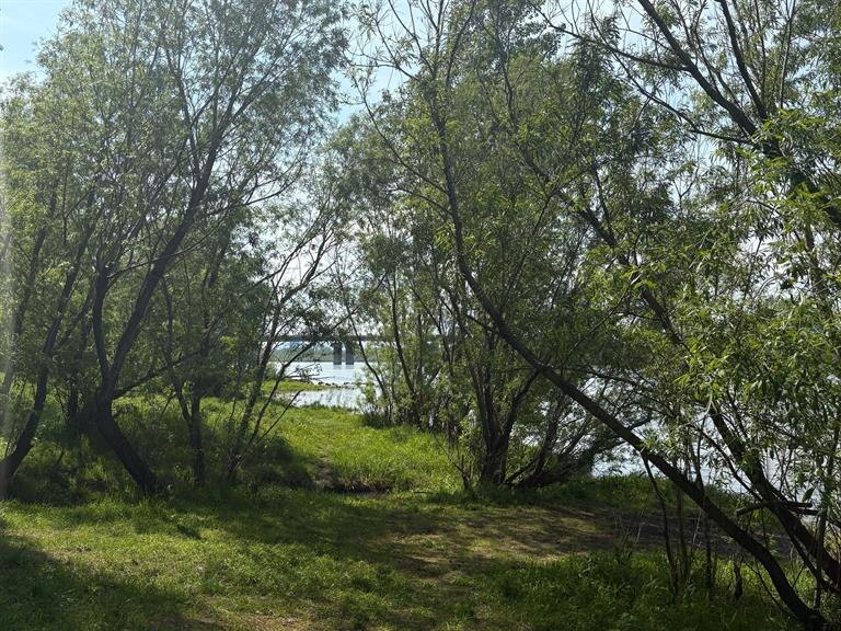    Фото: Администрация г. Красноярска