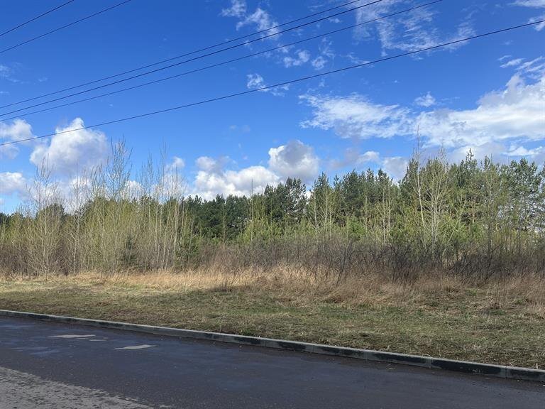    Фото: Администрация г. Красноярска