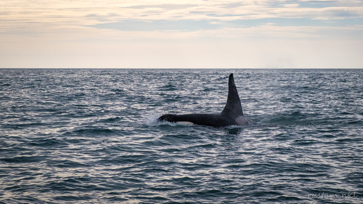 Фото: Рустам Фалинский, Камчатка с Другим Маршрутом