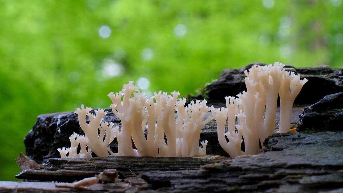    Фото: Shutterstock