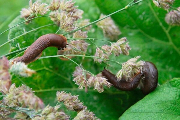 Обложка © Telegram / Агентство «Москва»