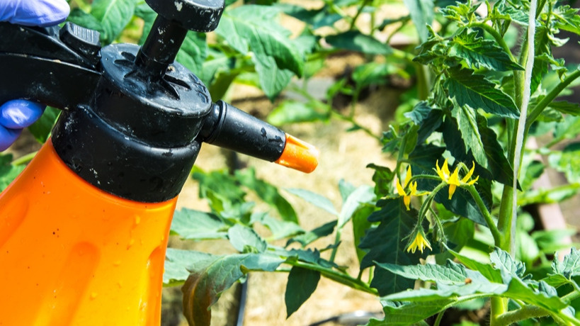 Дорогие стимуляторы не помогают в сильную жару