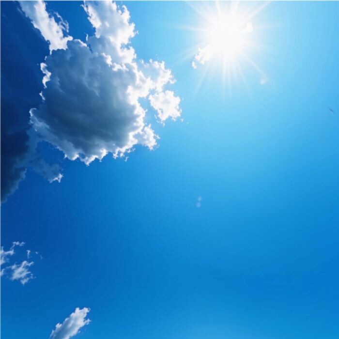 Источник фото: Нейросеть Кандинский