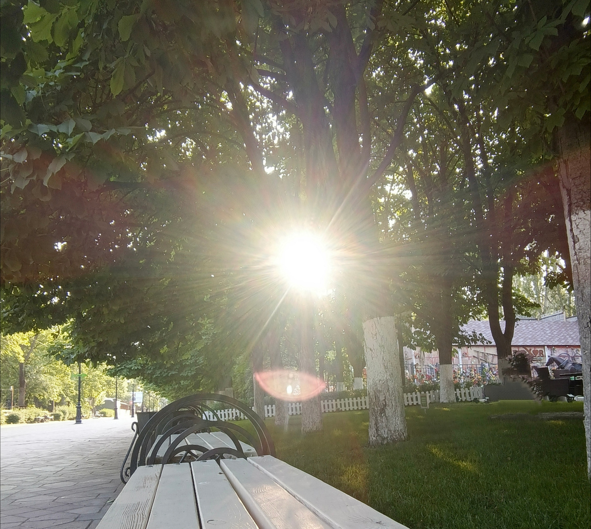 Хорошо, когда жизнь - прекрасна! ☀️