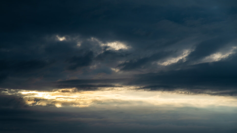 Фото: Олег Харсеев / Коммерсантъ