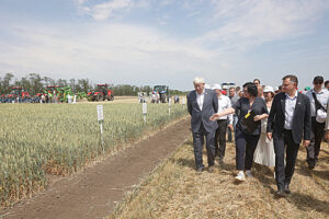/  ФОТО предоставлено Пресс-центром ФГБУ Россельхозцентр по Ростовской области Администратор  📷
