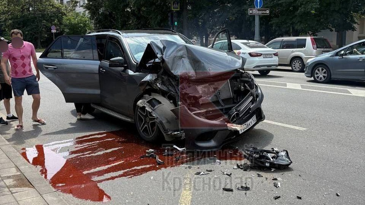    фото: Телеграм-канал «Типичный Краснодар и край»