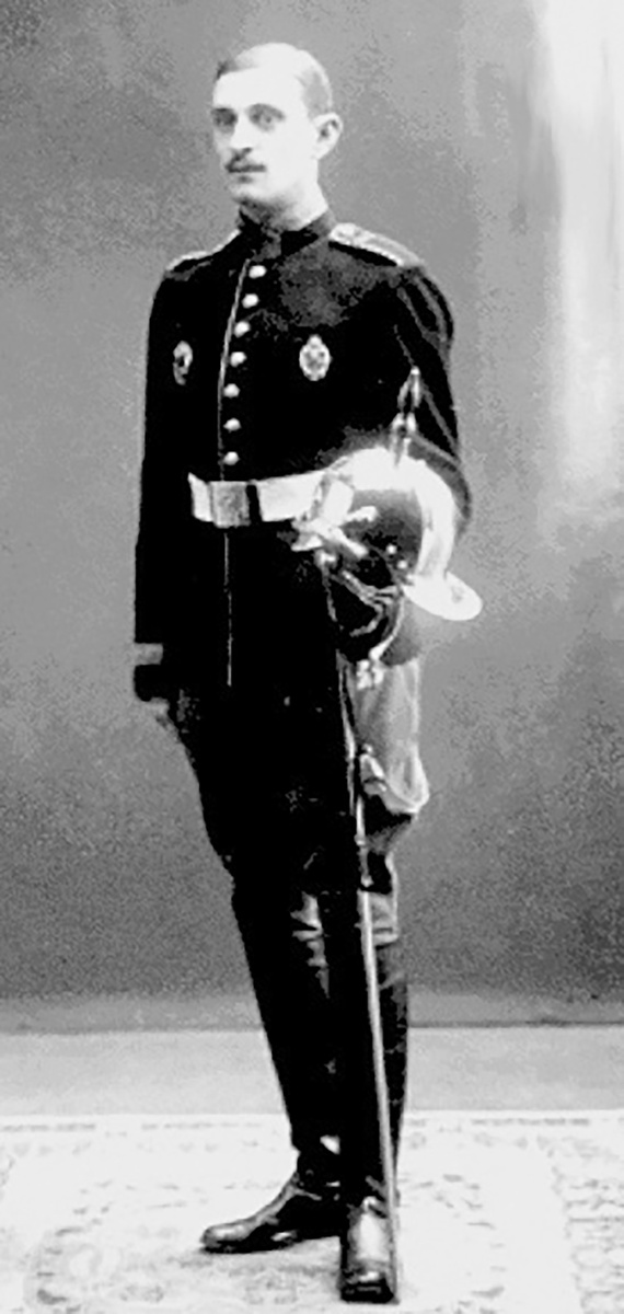 Великий князь Александр Николаевич. Общественное достояние