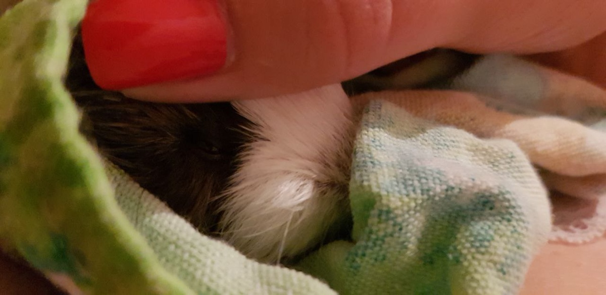 Из архива автора