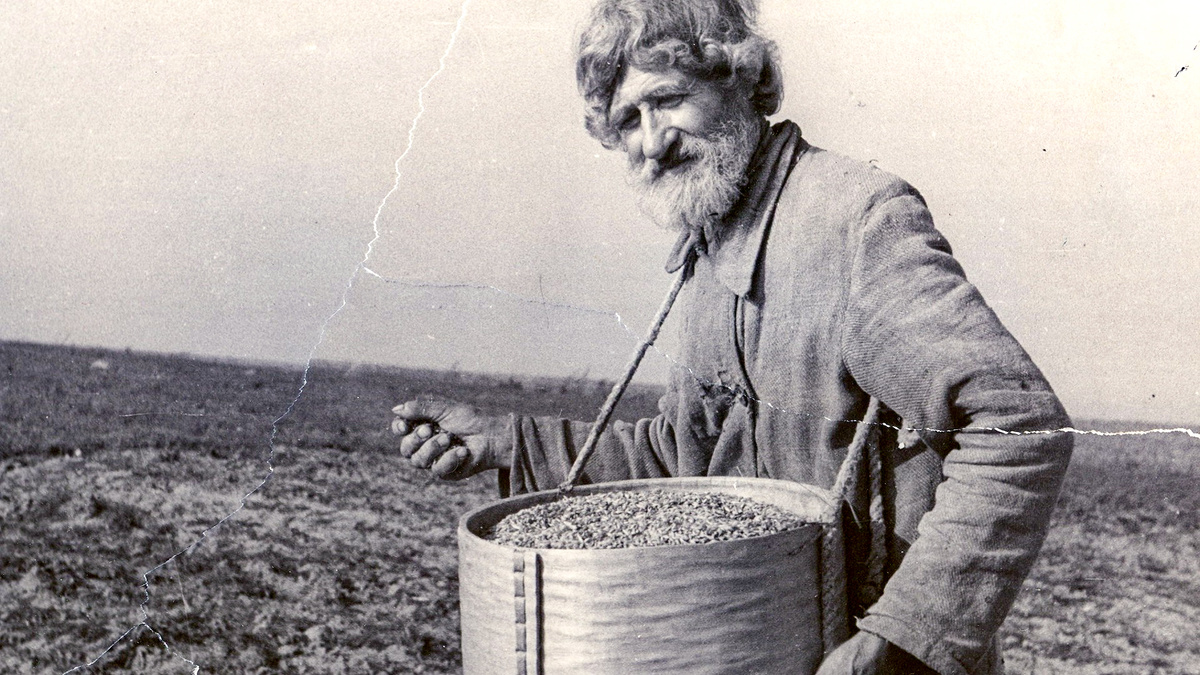 Общественное достояние