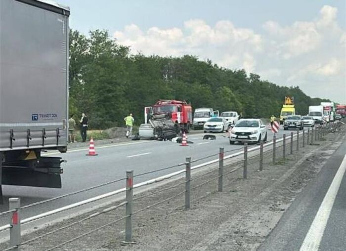 Источник фото: Соцсети