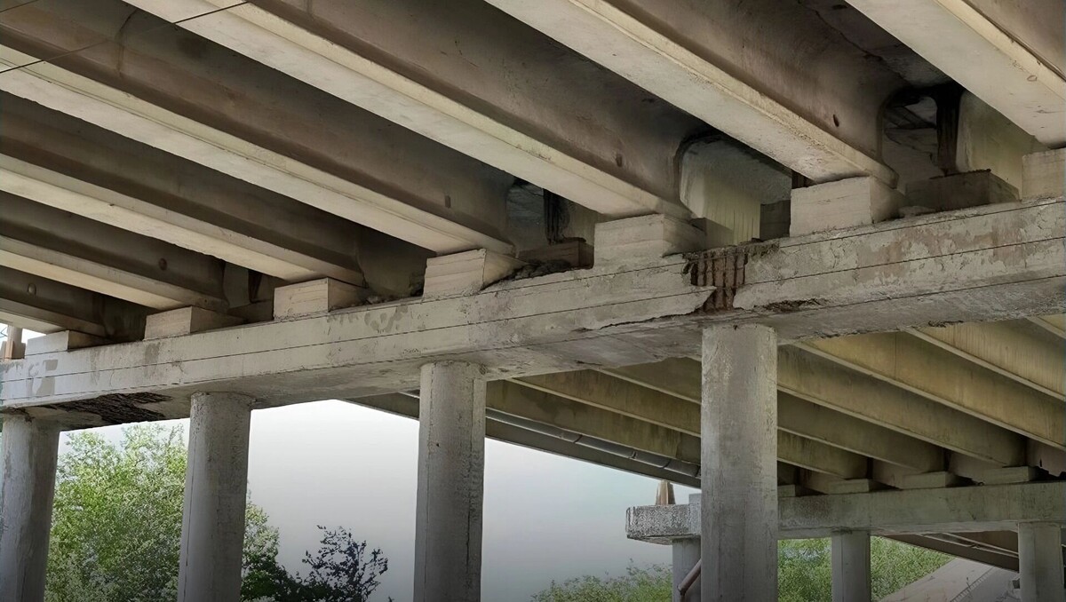     Автор: Правительство Ростовской области