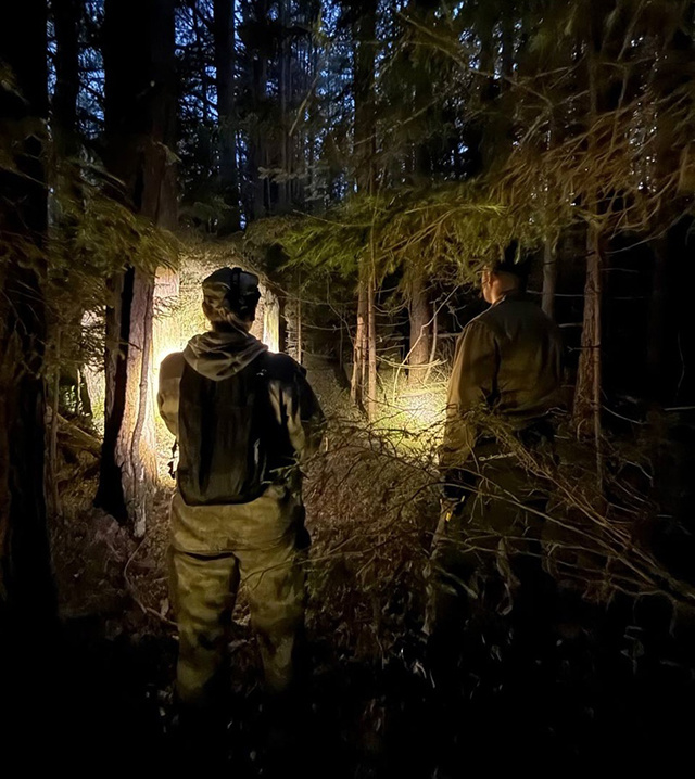 Ушедшего на грибную разведку в Тверской области мужчину искали всю ночь