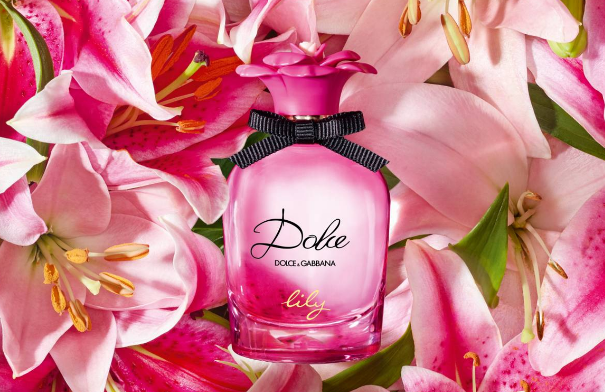 Dolce Lily