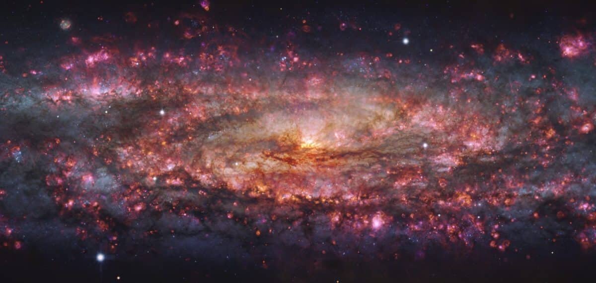    Снимок-«мозаика» галактики Скульптор, составленный из снимков, сделанных инструментом MUSE телескопа VLT в разных диапазонах волн. Розовым «светится» ионизированный водород в областях звездообразования. В видимом диапазоне мы это излучение не видим / © ESO/E. Congiu et al.