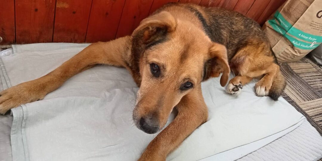 🆘Пост помощь🆘 Старичку Мише очень нужна Ваша помощь