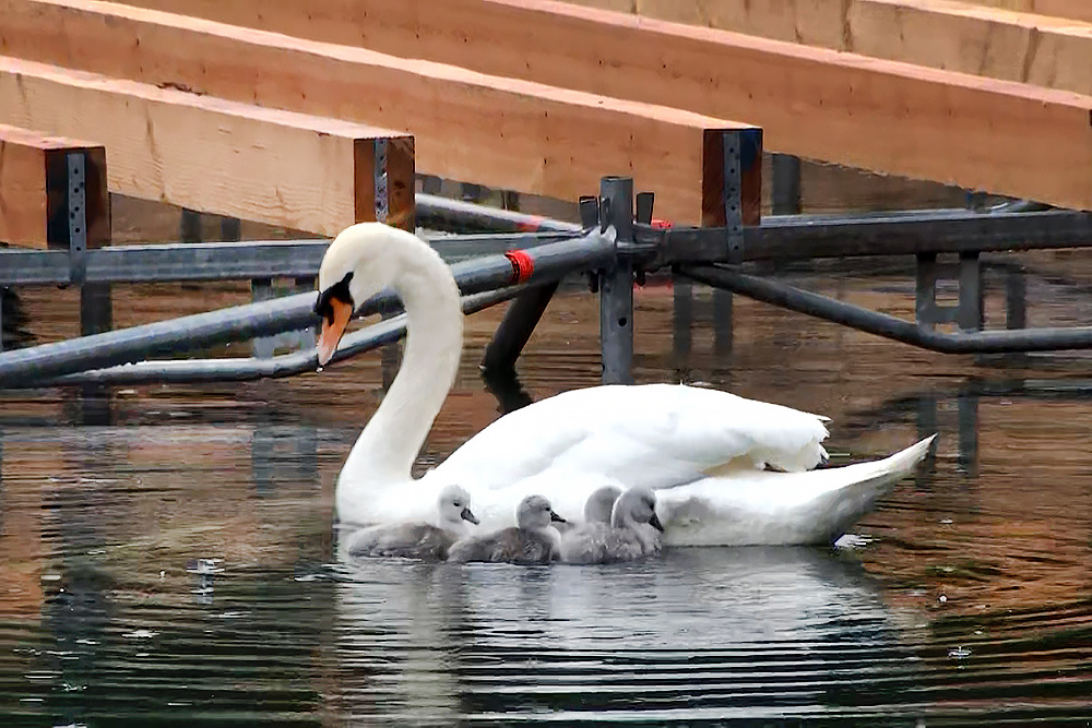    ©АО "ТВ Центр"