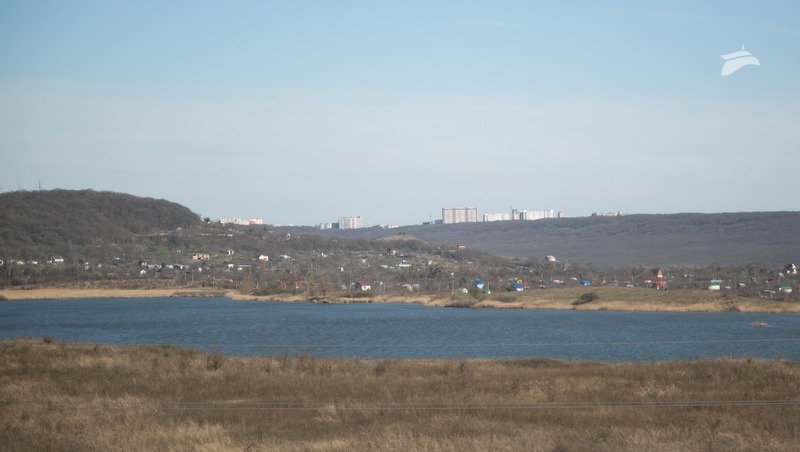      Фото: Валерия Алтухова / / ИА «Победа26»