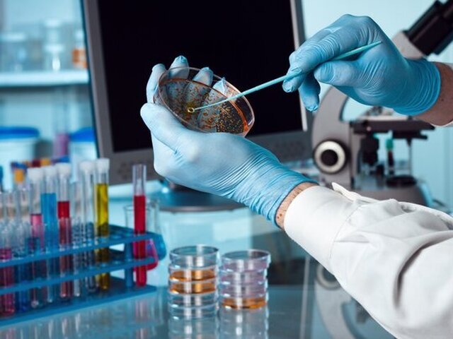    Фото: 123RF/angellodeco