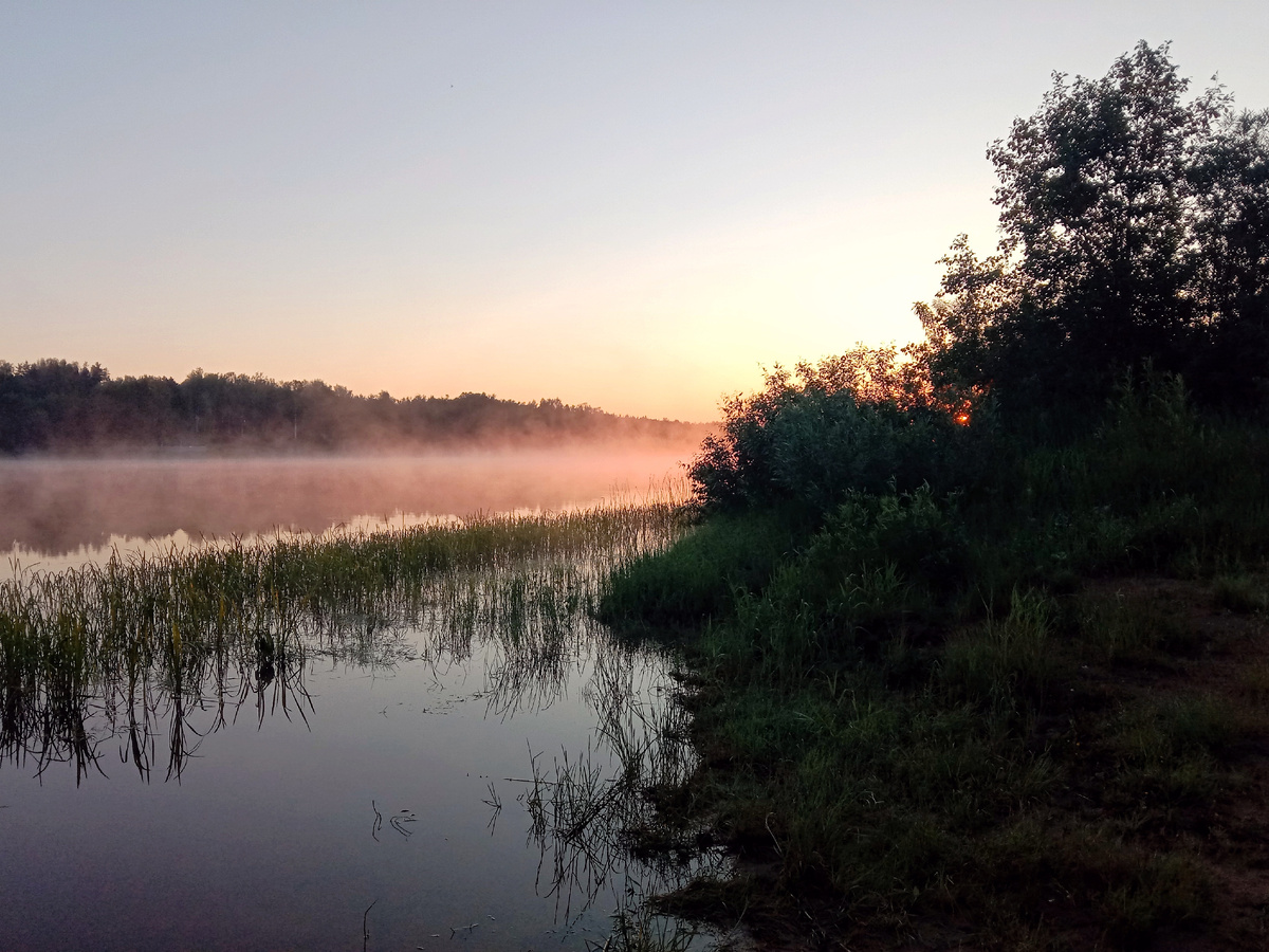 Река Молога, рассвет... 