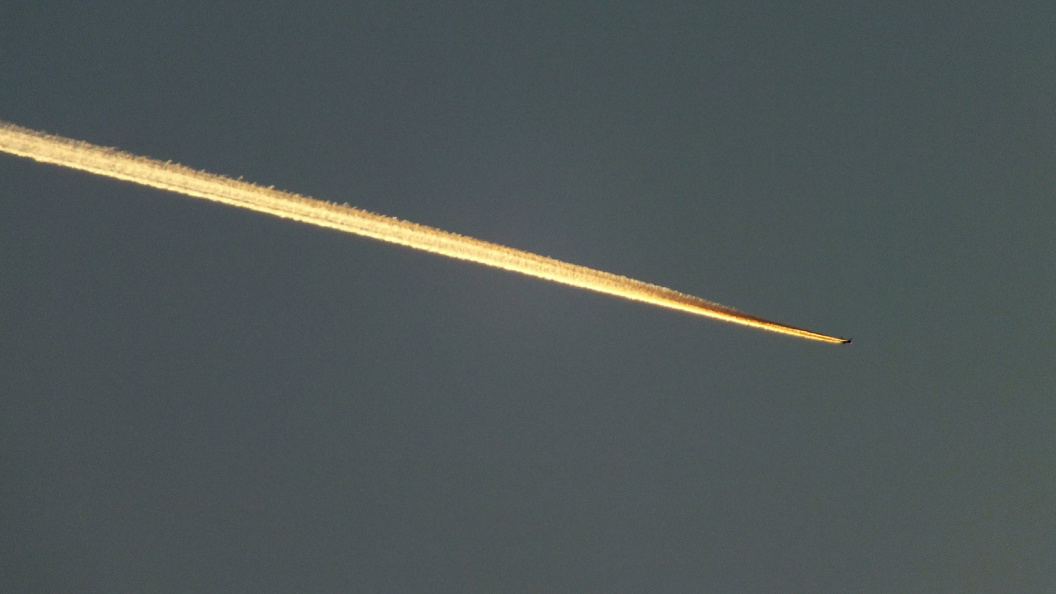    Victor Lisitsyn/Global Look Press